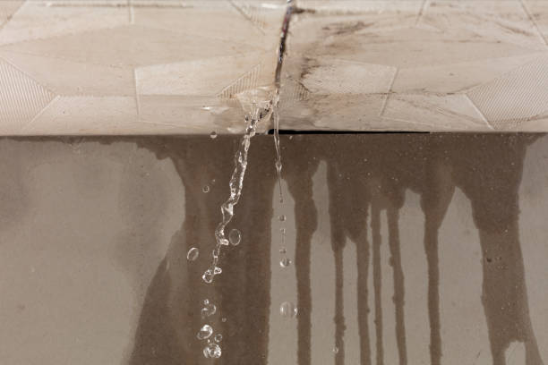 Professional Water Damage Repair technician working in Crosby, TX
